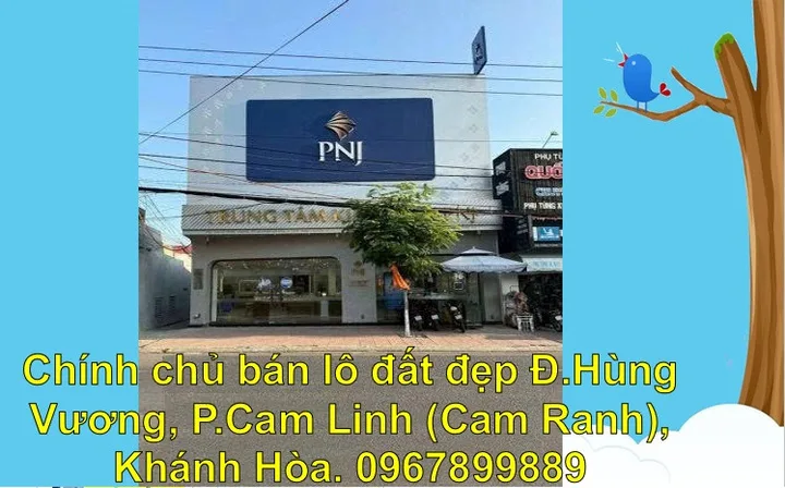 Bất động sản tại Khánh Hòa - ảnh 1