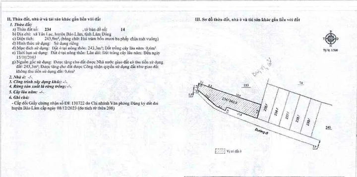 Bất động sản tại Lâm Đồng - ảnh 1
