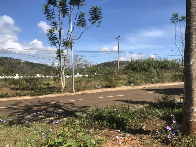 Bất động sản tại Lâm Đồng - ảnh 1