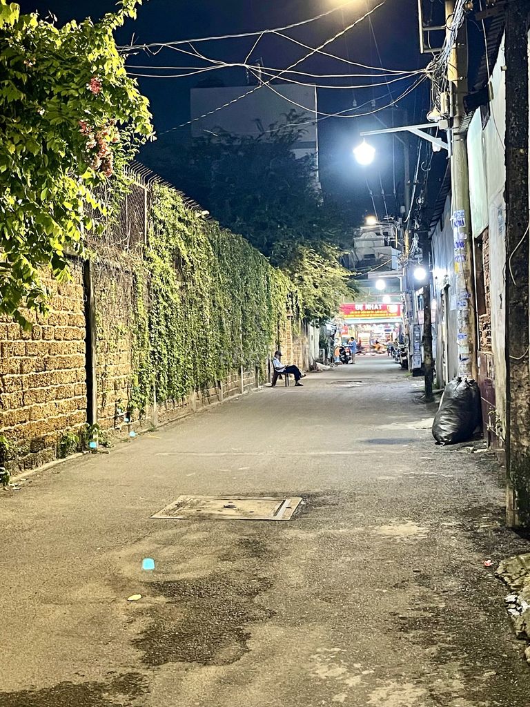 Nhà riêng tại Gò Vấp, TP. Hồ Chí Minh - ảnh 3