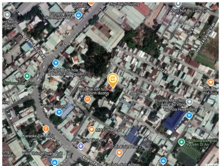 Bất động sản tại Bình Dương - ảnh 1