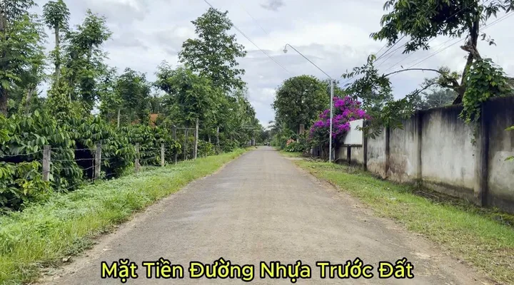 Bất động sản tại Đắk Lắk - ảnh 1