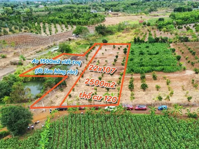 Bất động sản tại Đắk Lắk - ảnh 1