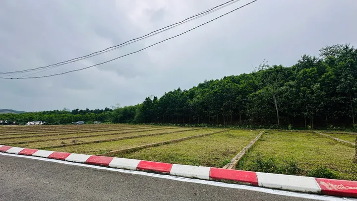 Bất động sản tại Phú Thọ - ảnh 1