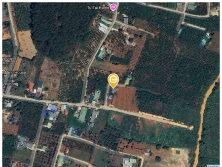 Bất động sản tại Lâm Đồng - ảnh 1