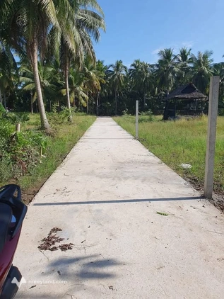 Bất động sản tại Bến Tre - ảnh 1