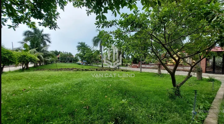 Bất động sản tại TP. Hồ Chí Minh - ảnh 1