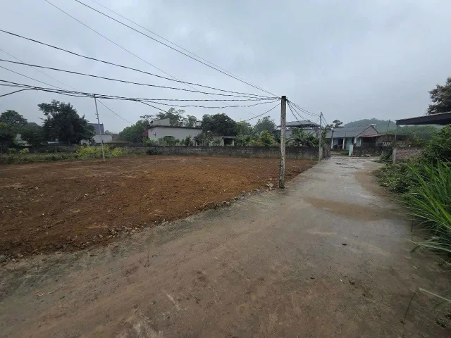 Bất động sản tại Phú Thọ - ảnh 1