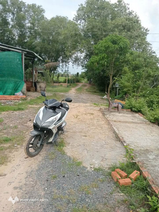 Bất động sản tại Long An - ảnh 1
