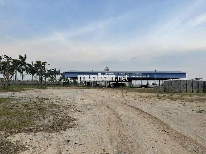 Bất động sản tại Thái Bình - ảnh 1