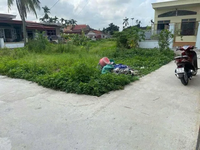 Bất động sản tại Hải Phòng - ảnh 1