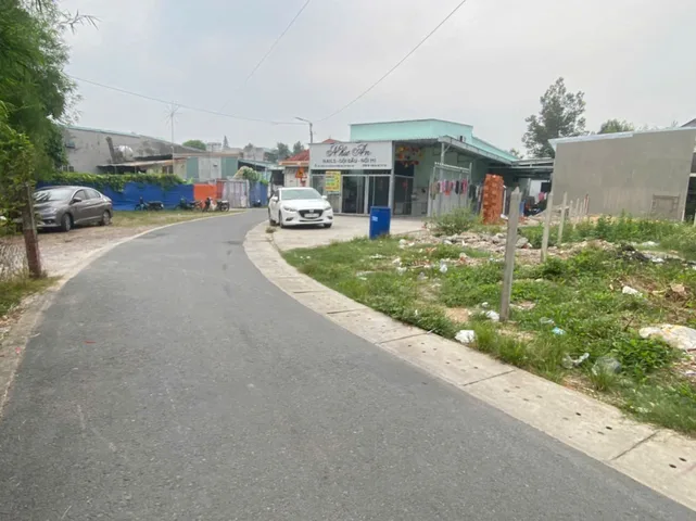 Bất động sản tại Bình Dương - ảnh 1