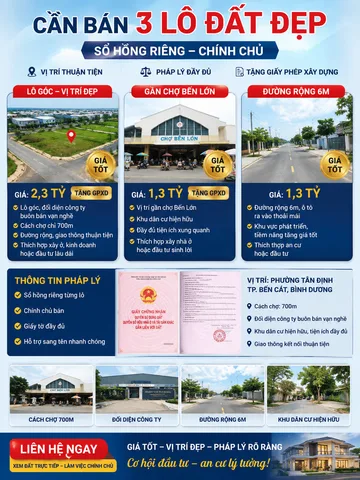 Bất động sản tại Bình Dương - ảnh 1