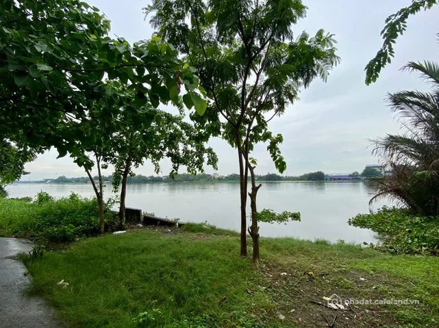 Bất động sản tại TP. Hồ Chí Minh - ảnh 1