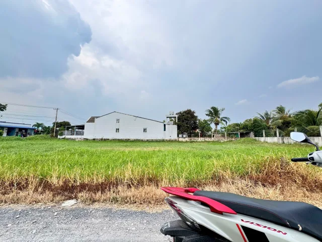 Bất động sản tại Long An - ảnh 1