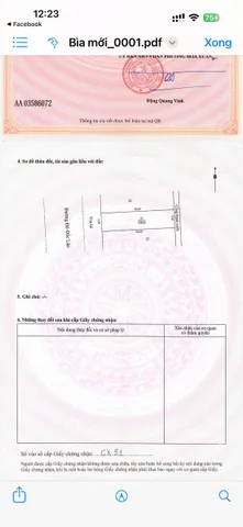 Bất động sản tại Đà Nẵng - ảnh 1