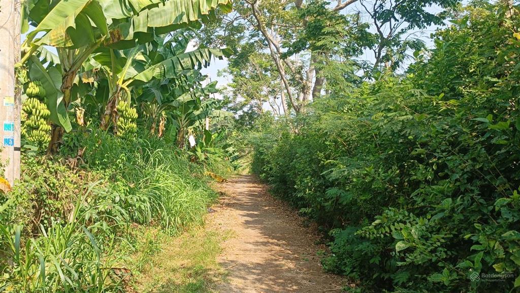 Bất động sản tại Bà Rịa - Vũng Tàu - ảnh 1