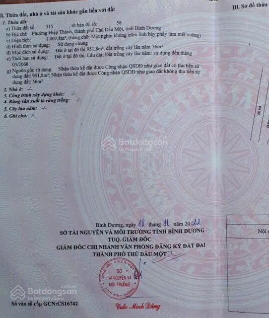 Bất động sản tại Bình Dương - ảnh 1