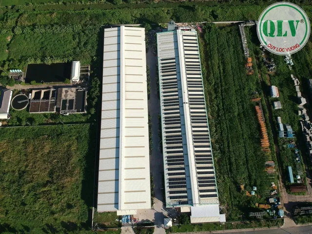 Bất động sản tại Long An - ảnh 1