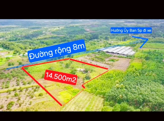 Bất động sản tại Đắk Lắk - ảnh 1
