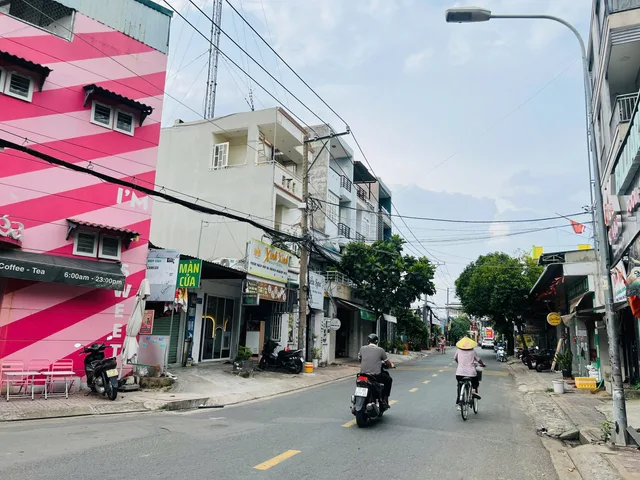 Bất động sản tại TP. Hồ Chí Minh - ảnh 1