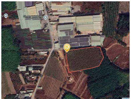 Bất động sản tại Bình Dương - ảnh 1