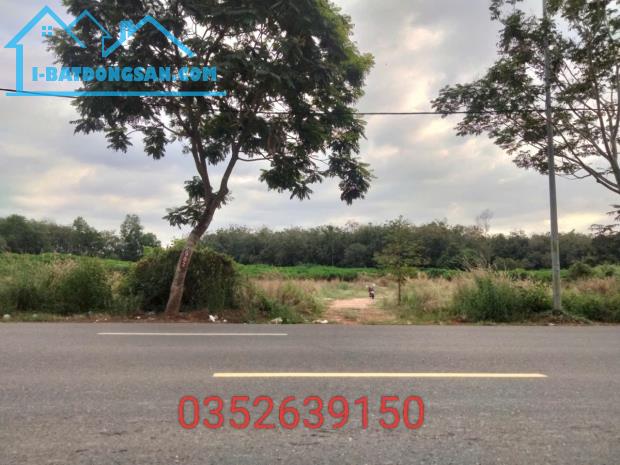 Bất động sản tại Bà Rịa - Vũng Tàu - ảnh 1