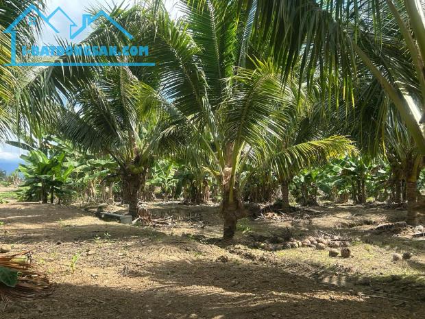 Bất động sản tại Khánh Hòa - ảnh 1