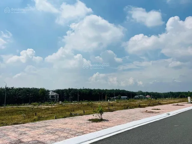 Bất động sản tại Đồng Nai - ảnh 1