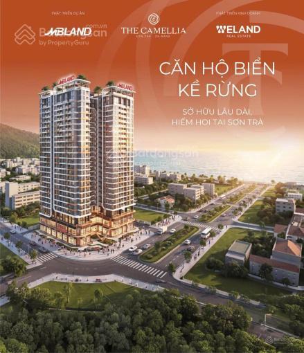 Bất động sản tại Đà Nẵng - ảnh 1