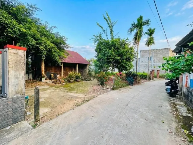 Bất động sản tại Đà Nẵng - ảnh 1