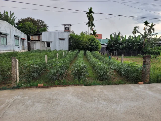 Bất động sản tại Đà Nẵng - ảnh 1