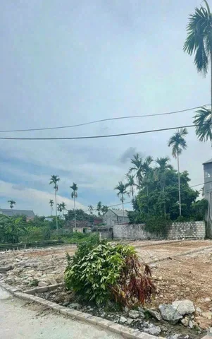 Bất động sản tại Hải Phòng - ảnh 1