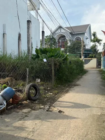Bất động sản tại Bình Dương - ảnh 1