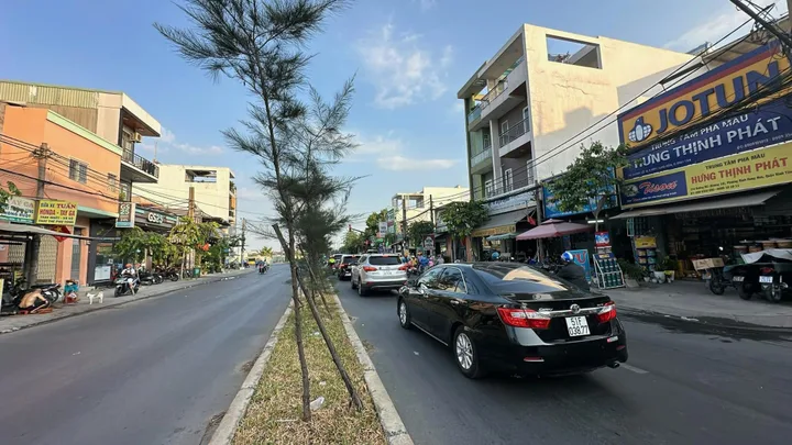 Bất động sản tại TP. Hồ Chí Minh - ảnh 1