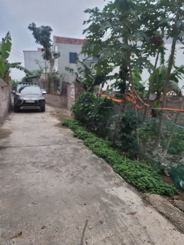 Bất động sản tại Phú Thọ - ảnh 1