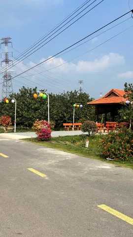 Bất động sản tại Bình Dương - ảnh 1