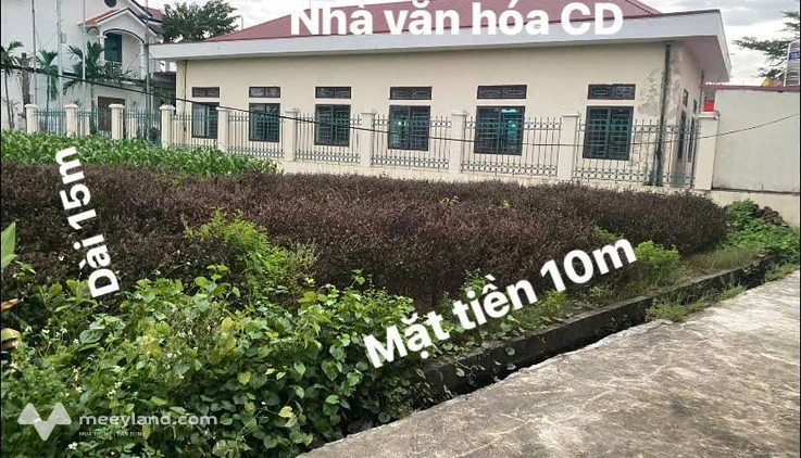 Bất động sản tại Hưng Yên - ảnh 1