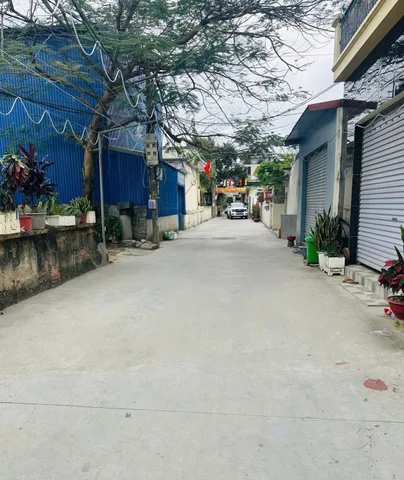 Bất động sản tại Hải Phòng - ảnh 1