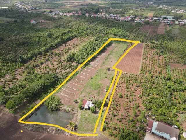 Bất động sản tại Đắk Lắk - ảnh 1