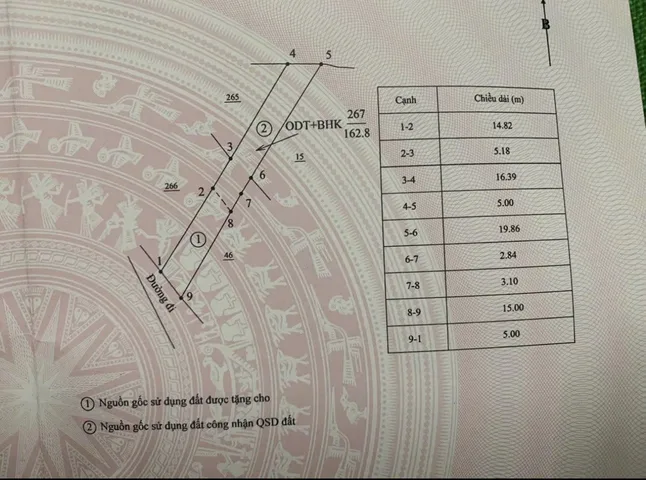 Bất động sản tại Quảng Ngãi - ảnh 1