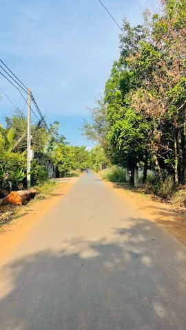 Bất động sản tại Đắk Lắk - ảnh 1
