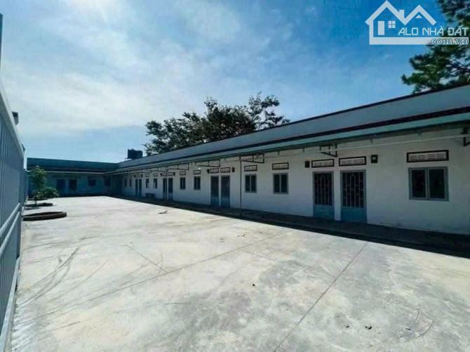 Bất động sản tại Lâm Đồng - ảnh 1
