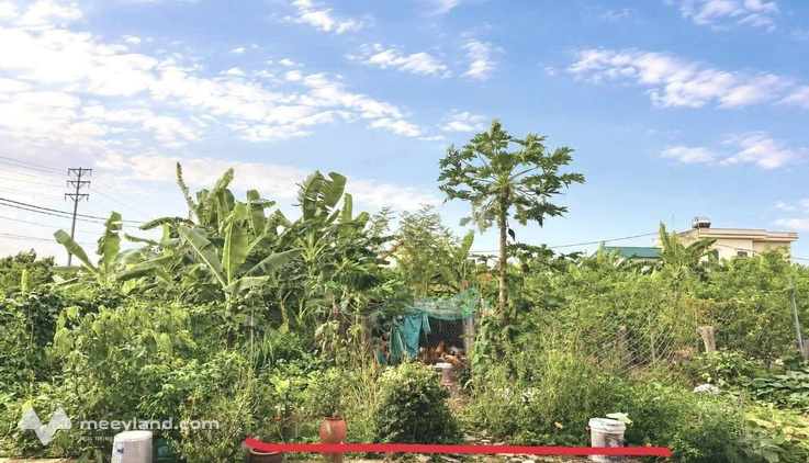 Bất động sản tại Hải Dương - ảnh 1