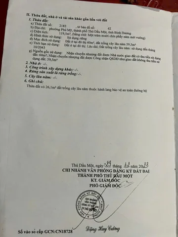 Bất động sản tại Bình Dương - ảnh 1