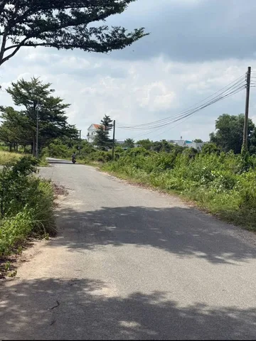 Bất động sản tại Đồng Nai - ảnh 1