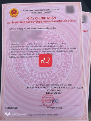 Bất động sản tại Vĩnh Phúc - ảnh 1