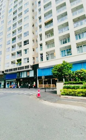 Bất động sản tại TP. Hồ Chí Minh - ảnh 1