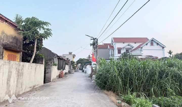 Bất động sản tại Hưng Yên - ảnh 1