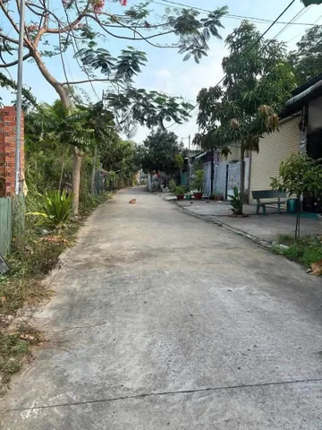 Bất động sản tại Bình Dương - ảnh 1